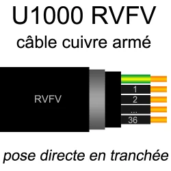 câble électrique armé renforcé âme cuivre U1000 RVFV 2 conducteurs section 35mm²