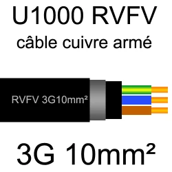 câble électrique armé renforcé âme cuivre U1000 RVFV 3 conducteurs section 10mm²