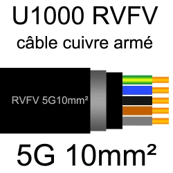 câble électrique armé renforcé âme cuivre U1000 RVFV 5 conducteurs section 10mm²