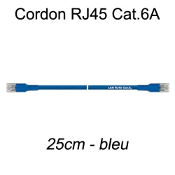 Câble Ethernet RJ45 cat 6a 25cm bleu