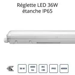 Vue de coté Réglette LED 36W 120cm étanche IP65 BL11366508 BE-LED